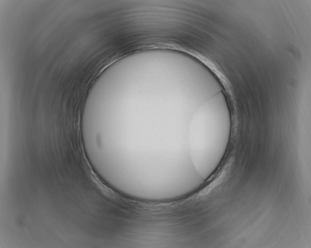X0000112910897200908241005