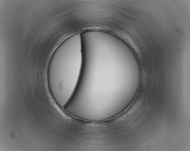 X0000112910898200908241005
