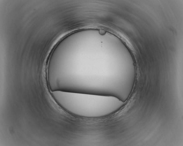 X0000112910899200908241005