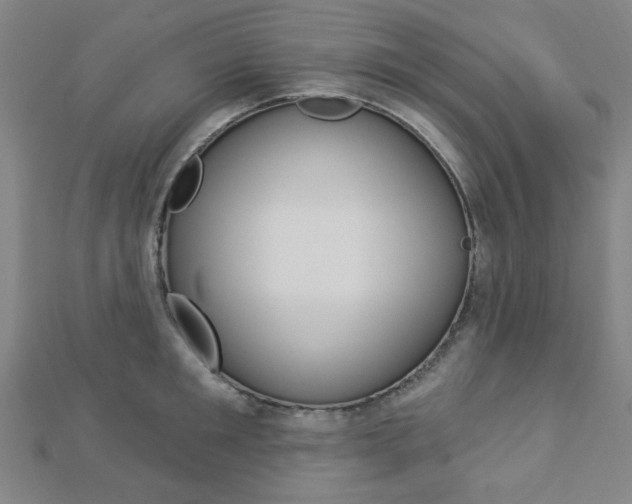 X0000112910901200908241005