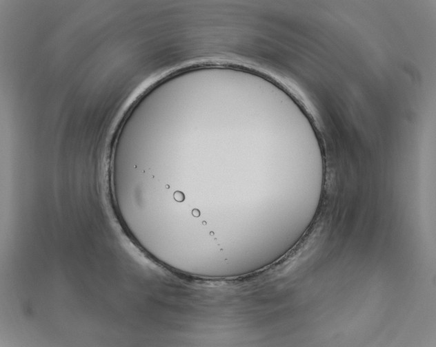X0000112910903200908241005
