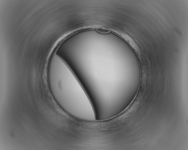 X0000112910904200908241005