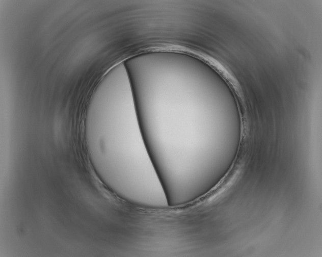 X0000112910905200908241005