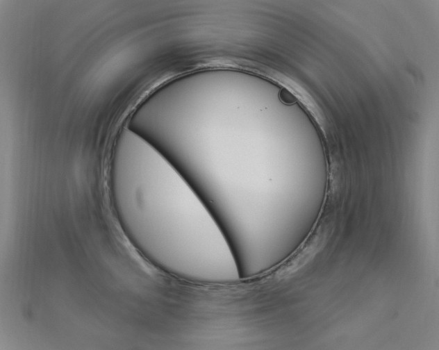 X0000112910906200908241005