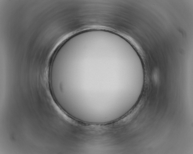 X0000112910910200908241005