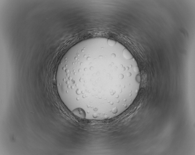 X0000112910913200908241004
