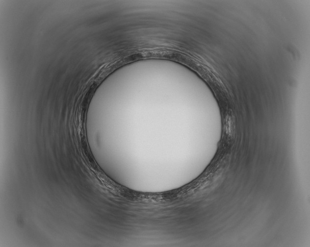 X0000112910915200908241004