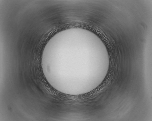X0000112910916200908241004