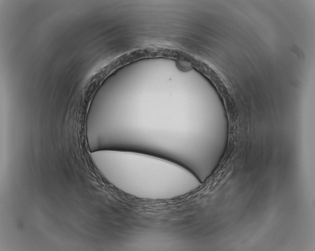 X0000112910919200908241004