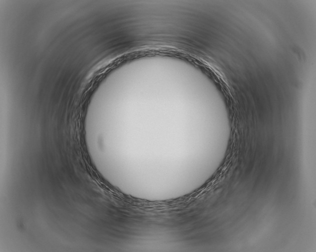 X0000112910920200908241004