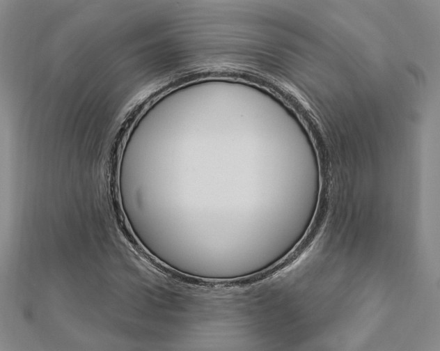 X0000112910922200908241004