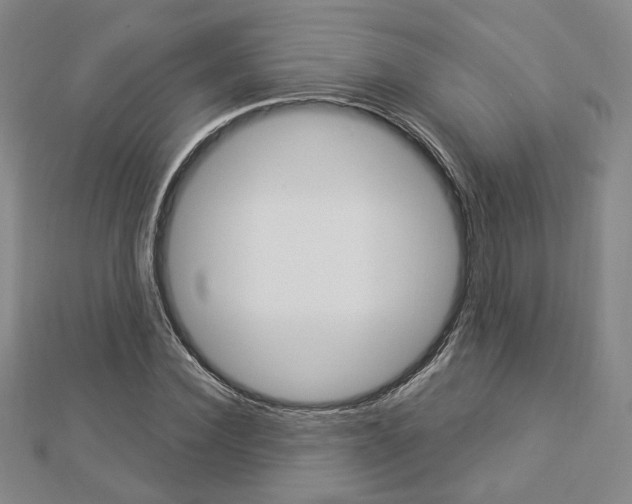 X0000112910924200908241004