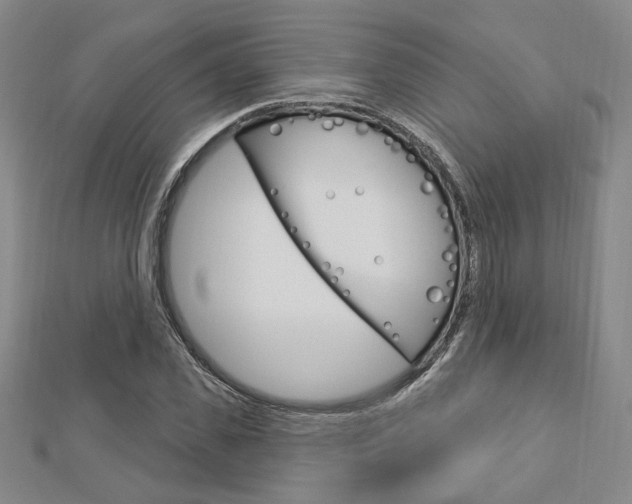 X0000112910925200908241004