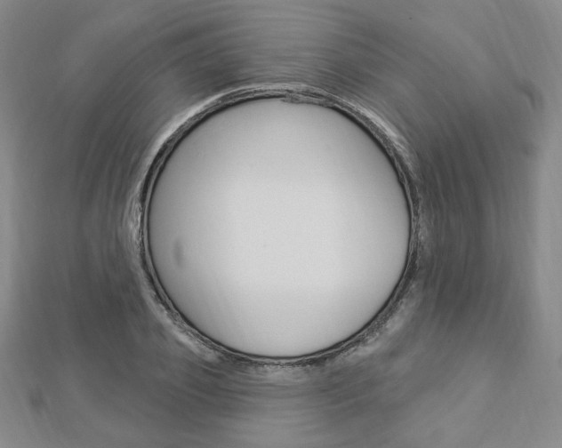 X0000112910933200908241004