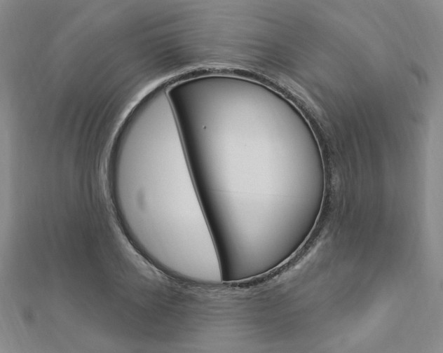 X0000112910934200908241004
