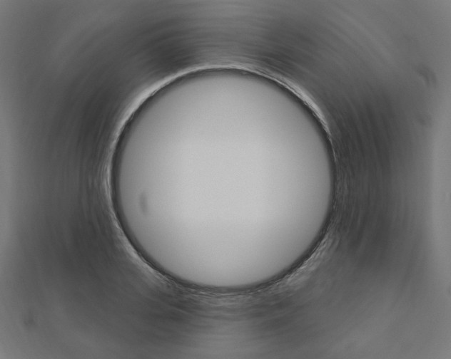 X0000112910935200908241004