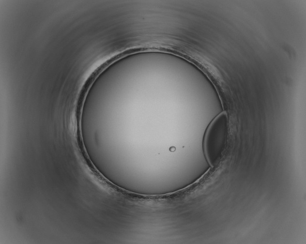 X0000112910936200908241004