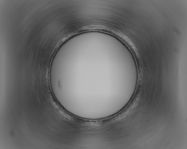 X0000112910937200908241004