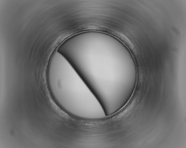 X0000112910938200908241004