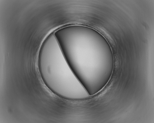 X0000112910940200908241004