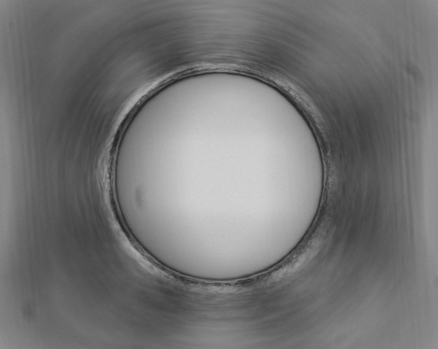 X0000112910941200908241004