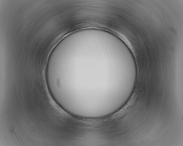 X0000112910946200908241004