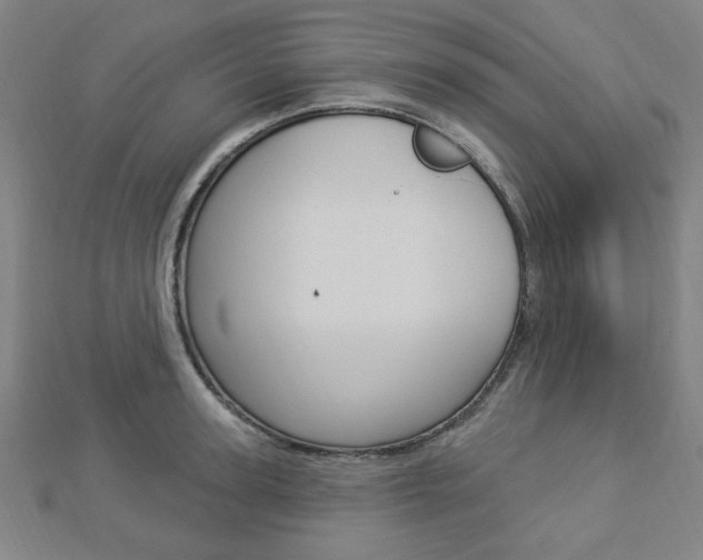 X0000112910947200908241004