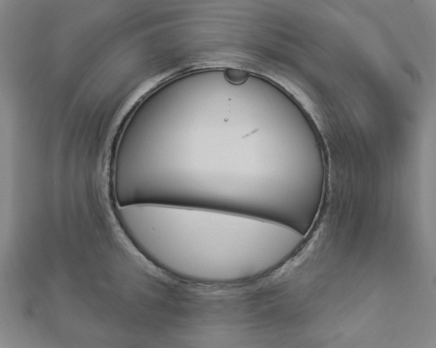 X0000112910949200908241004