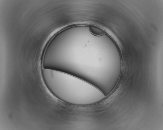 X0000112910951200908241004