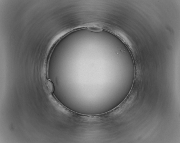 X0000112910952200908241004
