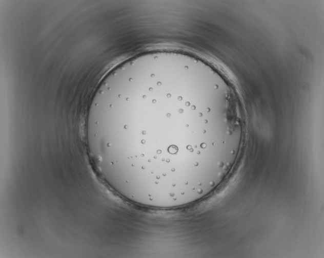 X0000112910953200908241004