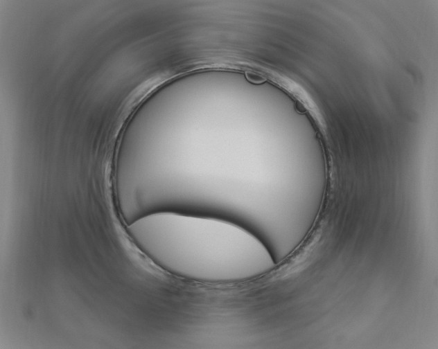 X0000112910954200908241005