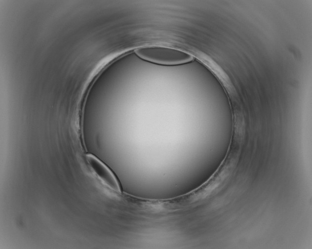 X0000112910956200908241005