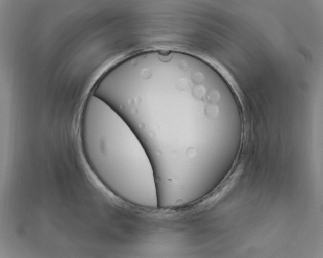 X0000112910957200908241005