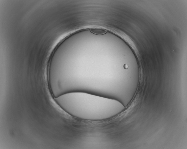 X0000112910958200908241005