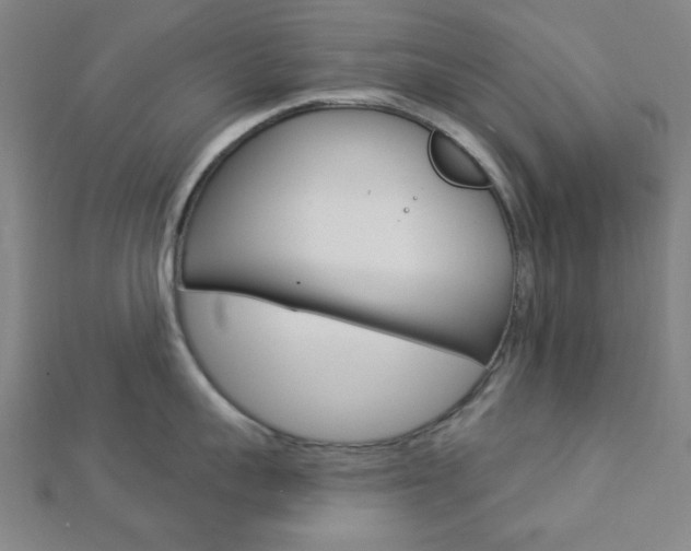 X0000112910959200908241005