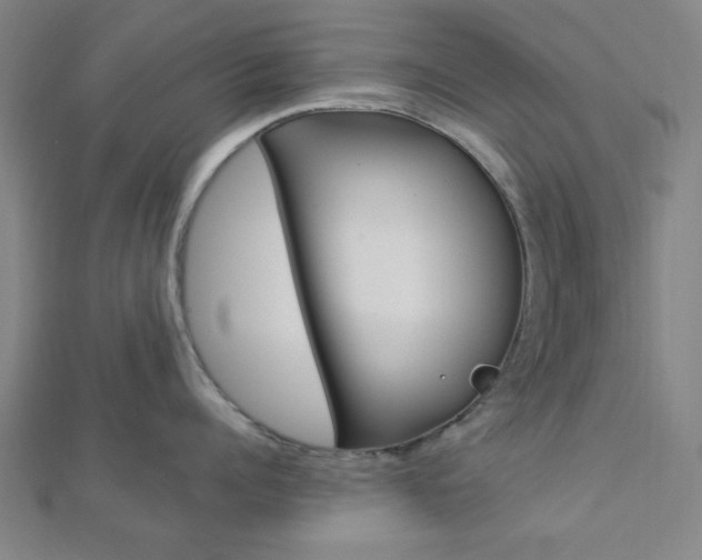 X0000112910960200908241005