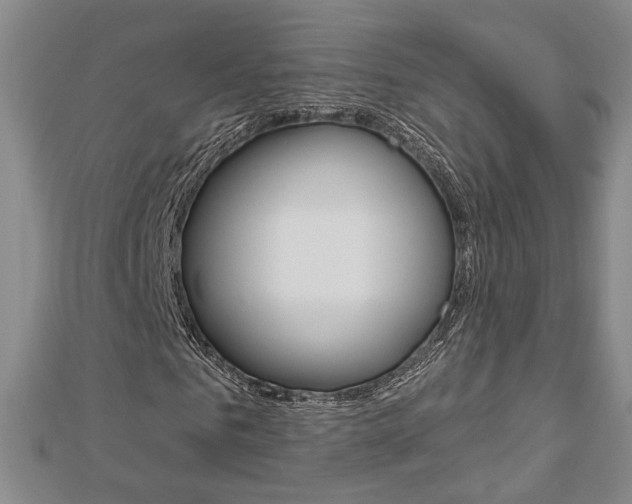 X0000112910961200908241004