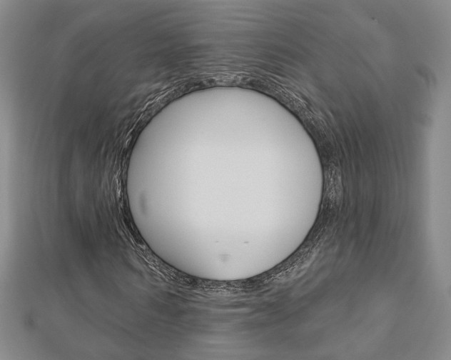 X0000112910962200908241004