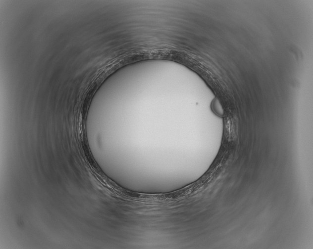 X0000112910963200908241004