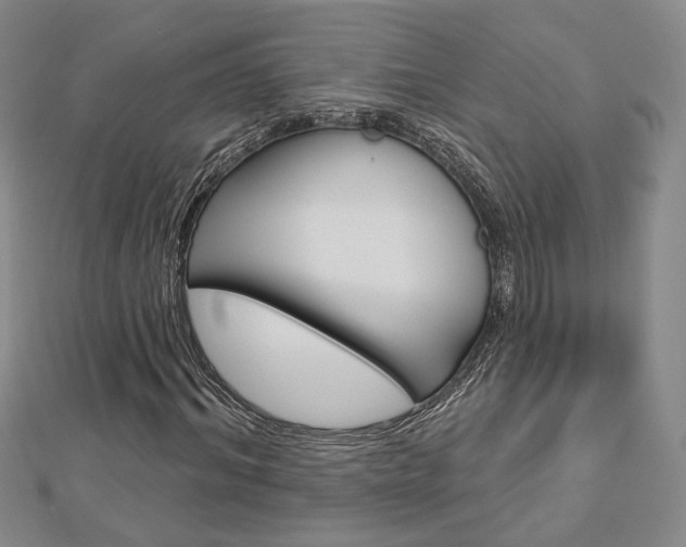X0000112910964200908241004