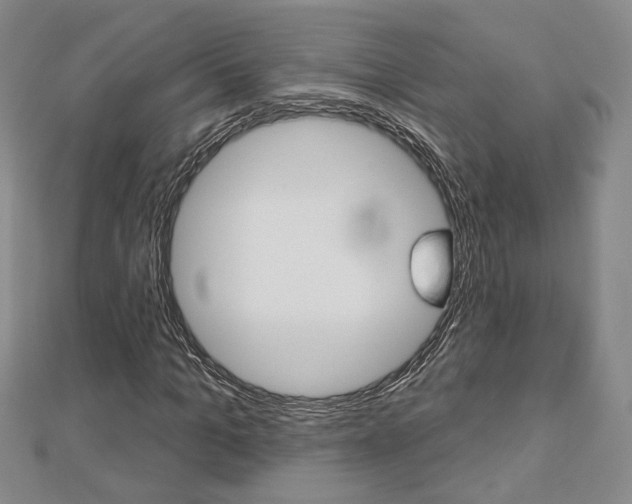 X0000112910965200908241004