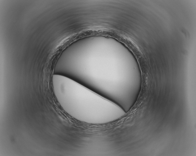 X0000112910968200908241004