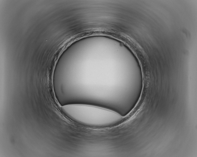 X0000112910969200908241004
