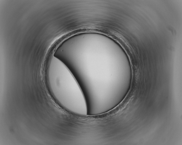 X0000112910971200908241004