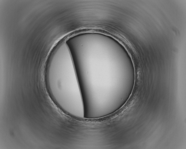X0000112910972200908241004