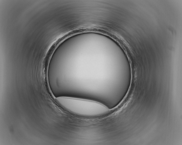 X0000112910973200908241004