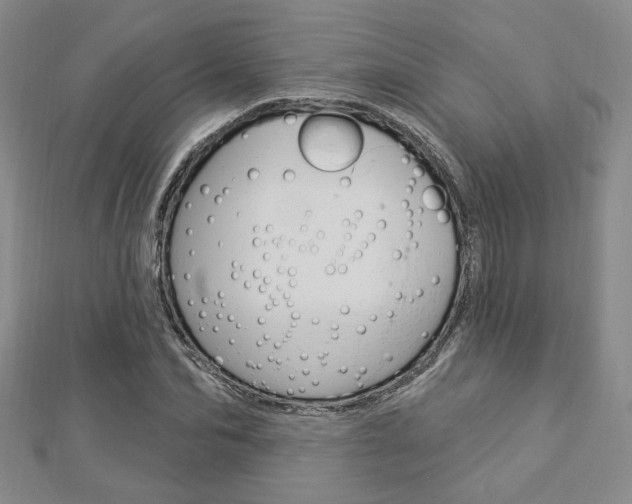 X0000112910974200908241004