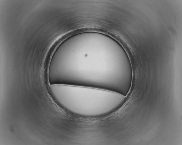 X0000112910975200908241004