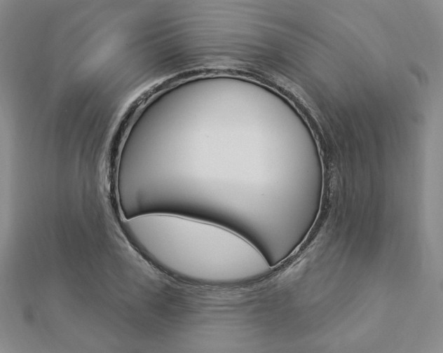 X0000112910979200908241004